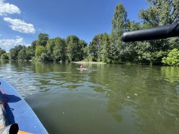 Mainschwimmen Juni 2026